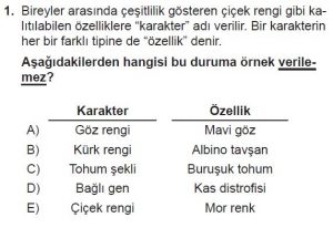 10. Sınıf Biyoloji Test 10 Soru-1