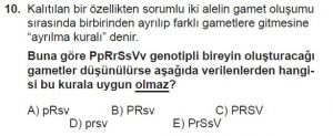 10. Sınıf Biyoloji Test 10 Soru-10