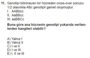 10. Sınıf Biyoloji Test 10 Soru-11