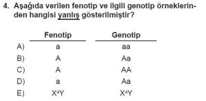 10. Sınıf Biyoloji Test 10 Soru-4