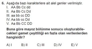 10. Sınıf Biyoloji Test 10 Soru-6
