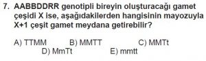 10. Sınıf Biyoloji Test 10 Soru-7