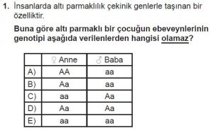 10. Sınıf Biyoloji Test 11 Soru-1