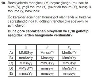 10. Sınıf Biyoloji Test 11 Soru-10