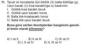 10. Sınıf Biyoloji Test 11 Soru-11