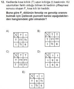 10. Sınıf Biyoloji Test 11 Soru-12
