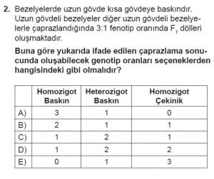 10. Sınıf Biyoloji Test 11 Soru-2