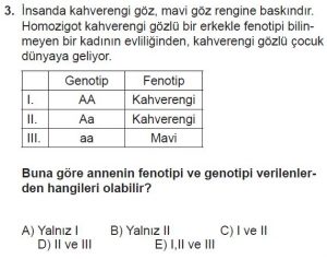 10. Sınıf Biyoloji Test 11 Soru-3