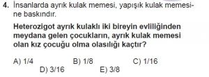 10. Sınıf Biyoloji Test 11 Soru-4
