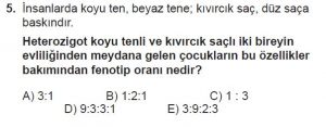 10. Sınıf Biyoloji Test 11 Soru-5