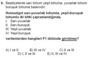 10. Sınıf Biyoloji Test 11 Soru-6