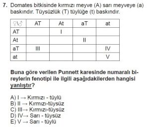 10. Sınıf Biyoloji Test 11 Soru-7