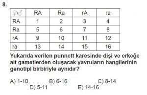 10. Sınıf Biyoloji Test 11 Soru-8