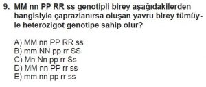 10. Sınıf Biyoloji Test 11 Soru-9