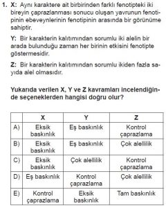10. Sınıf Biyoloji Test 12 Soru-1