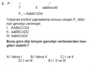 10. Sınıf Biyoloji Test 12 Soru-2