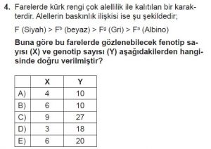 10. Sınıf Biyoloji Test 12 Soru-4