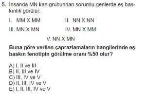 10. Sınıf Biyoloji Test 12 Soru-5