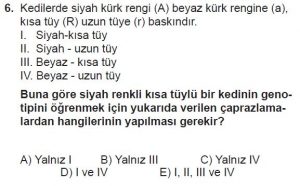 10. Sınıf Biyoloji Test 12 Soru-6
