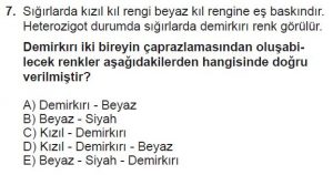 10. Sınıf Biyoloji Test 12 Soru-7