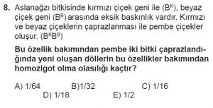 10. Sınıf Biyoloji Test 12 Soru-8