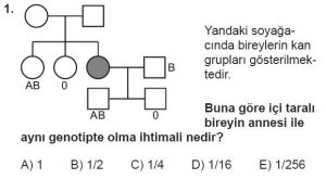 10. Sınıf Biyoloji Test 13 Soru-1