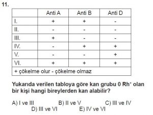 10. Sınıf Biyoloji Test 13 Soru-11