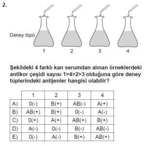 10. Sınıf Biyoloji Test 13 Soru-2