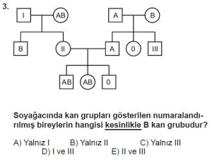 10. Sınıf Biyoloji Test 13 Soru-3