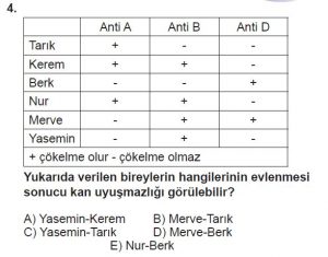 10. Sınıf Biyoloji Test 13 Soru-4