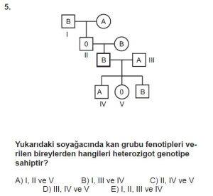 10. Sınıf Biyoloji Test 13 Soru-5