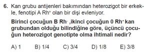 10. Sınıf Biyoloji Test 13 Soru-6