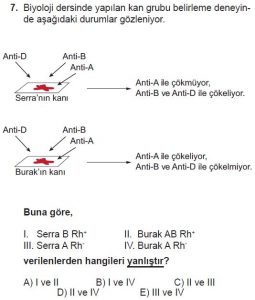 10. Sınıf Biyoloji Test 13 Soru-7