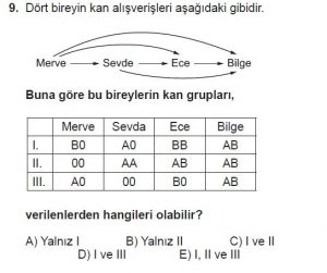 10. Sınıf Biyoloji Test 13 Soru-9