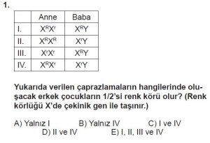 10. Sınıf Biyoloji Test 14 Soru-1