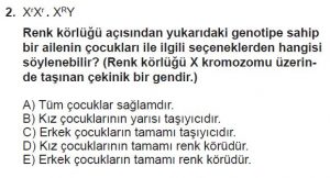 10. Sınıf Biyoloji Test 14 Soru-2