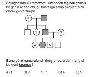 10. Sınıf Biyoloji Test 14 Soru-3