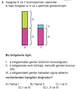 10. Sınıf Biyoloji Test 14 Soru-4