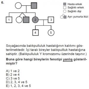 10. Sınıf Biyoloji Test 14 Soru-6