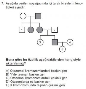 10. Sınıf Biyoloji Test 14 Soru-7