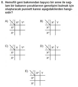 10. Sınıf Biyoloji Test 14 Soru-8