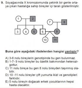 10. Sınıf Biyoloji Test 14 Soru-9