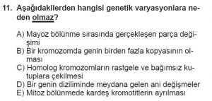 10. Sınıf Biyoloji Test 15 Soru-11