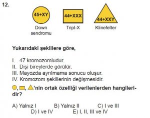 10. Sınıf Biyoloji Test 15 Soru-12