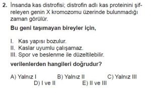 10. Sınıf Biyoloji Test 15 Soru-2