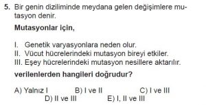10. Sınıf Biyoloji Test 15 Soru-5
