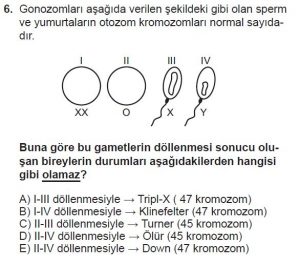 10. Sınıf Biyoloji Test 15 Soru-6