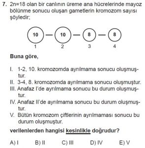 10. Sınıf Biyoloji Test 15 Soru-7