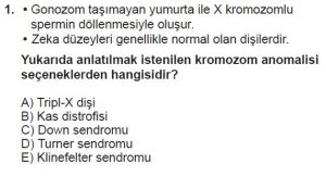 10. Sınıf Biyoloji Test 16 Soru-1