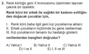10. Sınıf Biyoloji Test 16 Soru-2